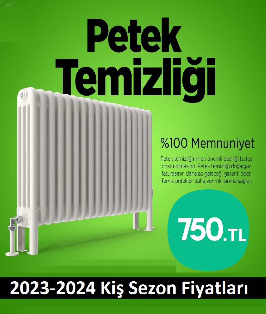 Kartal Petek temizleme